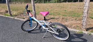 Bicicleta niña Btwin 20 pulgadas