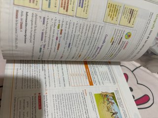 Lengua castellana y literatura