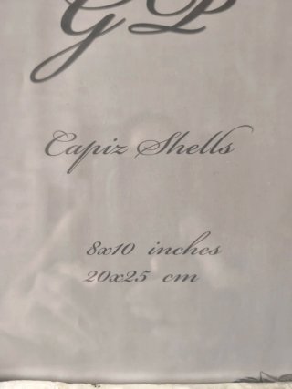 Marco de fotos Capiz Shells 20×25