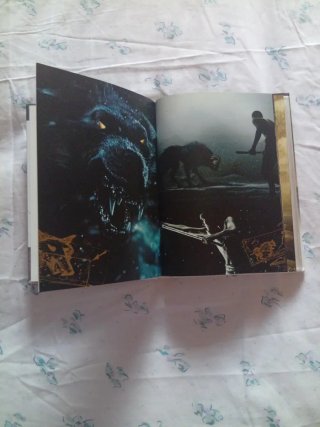 DVD -LIBRO 300 .Titanium Collection