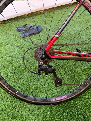 Bicicleta de carretera Focus ultraligera