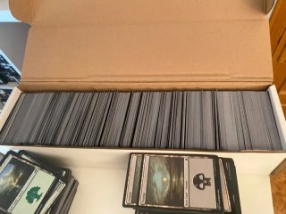 Lote 1000 Tierras Básicas MTG (Inglés)