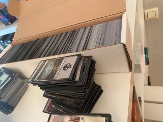 Lote 1000 Tierras Básicas MTG (Inglés)