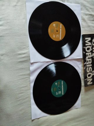 Van Morrison Roll With The Punches