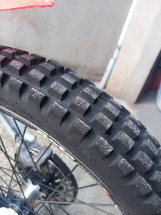 Beta Evo 300 Trial Moto