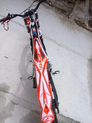 Beta Evo 300 Trial Moto