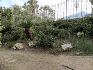 Jardinería -