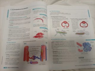 BIOLOGIA GEOLOGIA Y CIENCIAS AMBIENTALES 1 (CER)