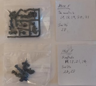 Pack Phobos Shadowspear Warhammer 40k
