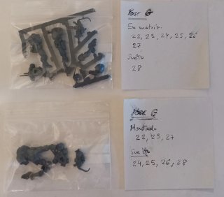 Pack Phobos Shadowspear Warhammer 40k
