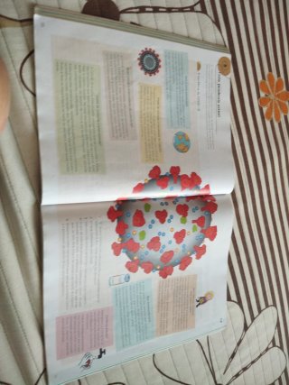 Ciencias da Natureza 6 Primaria, operación mundo