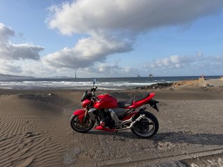 Kawasaki Z1000 Naked Roja
