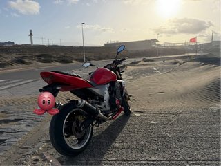 Kawasaki Z1000 Naked Roja