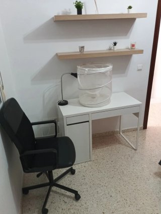 Habitaciones estudiantes