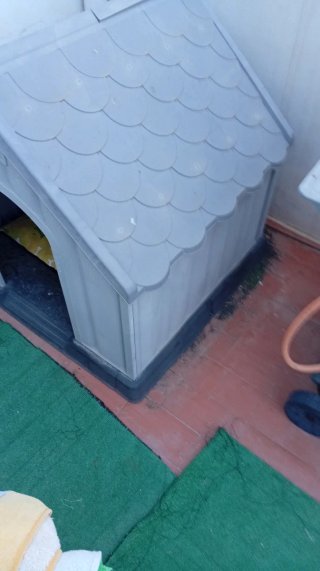 Caseta para perro gris y amarilla