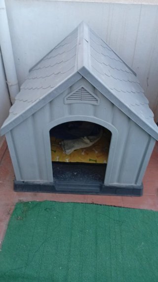 Caseta para perro gris y amarilla
