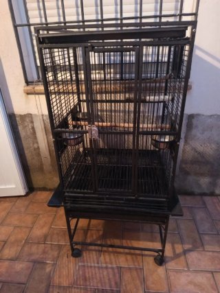 Jaula para loro tipo yaco, Amazonas o de ese tamañ
