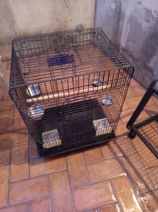 Jaula para loros y pájaros