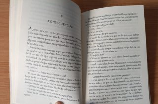 Crónicas de la torre Fenris, el elfo