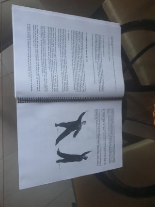 Manual libro chi Kung el tesoro milenario