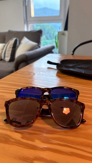 Gafas de sol Hawkers Tortoise Blue