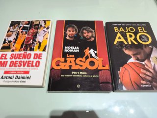 Bajo el aro  El sueño de mi desvelo Los Gasol