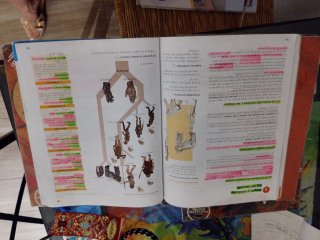 Geografía e historia, 1 ESO, Madrid, Operación ...