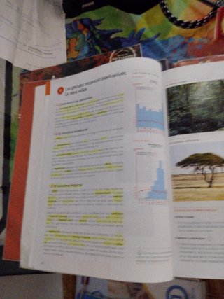 Geografía e historia, 1 ESO, Madrid, Operación ...