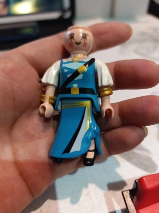 Lote 9 Playmobil están tal y como se ven en la fot