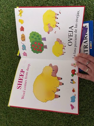 Lote 3 libros bilingües inglés-español