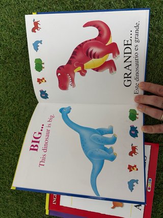Lote 3 libros bilingües inglés-español