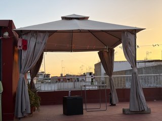 Carpa Beige y Marrón