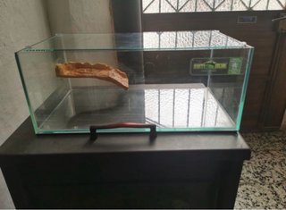 Tortuguero/acuario de cristal