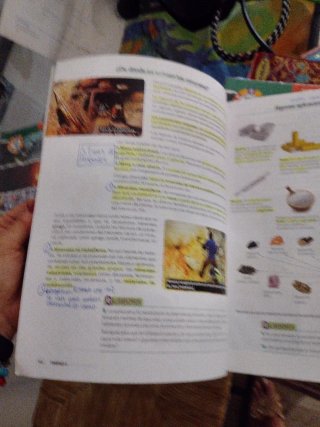 Biología y geología, 1 ESO, Proyecto 5 etapas