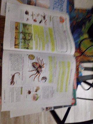 Biología y geología, 1 ESO, Proyecto 5 etapas