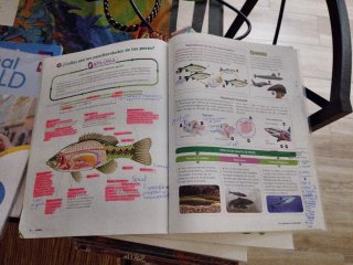 Biología y geología, 1 ESO, Proyecto 5 etapas