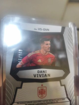 Dani Vivian Obsidian Auto y Parche /149