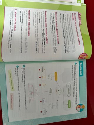 Ciencias da Natureza. 3 Primaria. Revoa