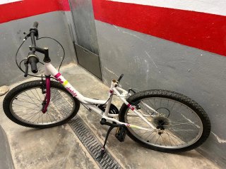 Bicicleta 24