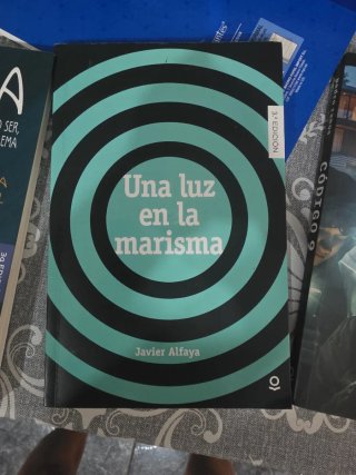 Libro Una luz en la marisma de Javier Alfaya