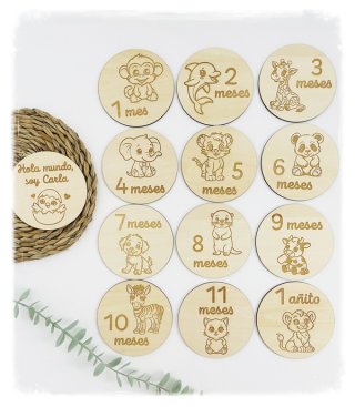 Placas Cumplemes Madera Bebé Animales