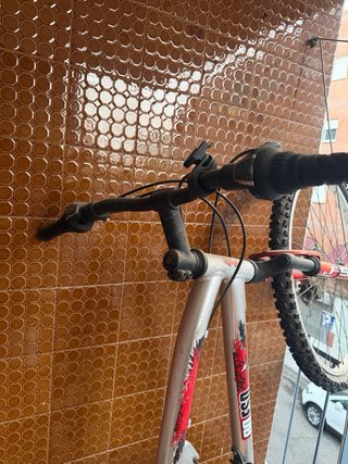 Bicicleta de Montaña 26 Plata