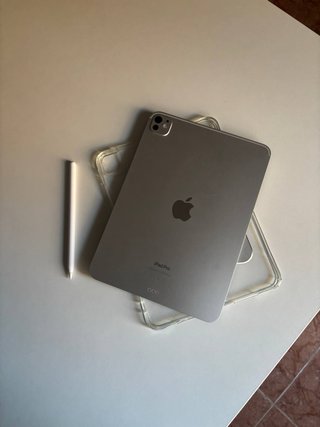iPad Pro 11 M4 256GB Plata