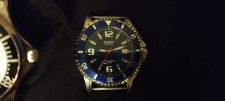 Relojes Casio, Festina, viceroy.