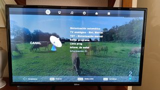 Televisor Qlive 32``