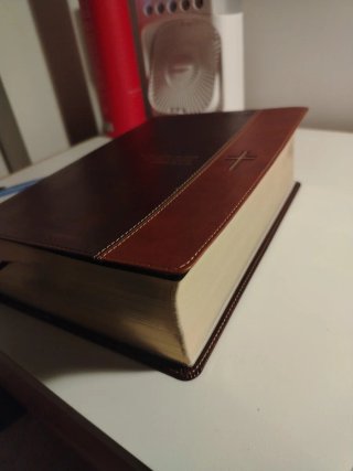 Biblia de Estudio del Diario Vivir Rvr60, Letra gr