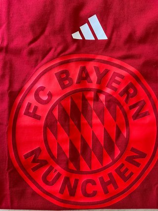 Camiseta Adidas FC Bayern DNA Graphic M