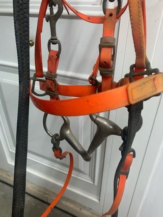 Cabezal con rienda naranja y plateado