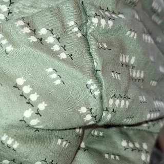 Traje Baturra Antiguo