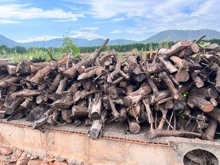 Leña de naranjo para chimenea y barbacoa